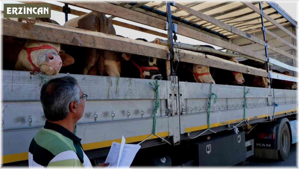 Doğu'da kurbanlık sevkiyatına sıkı denetim