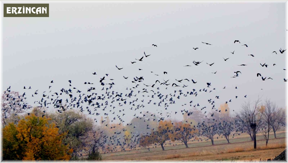 Doğu'da sis ve pus etkili oldu