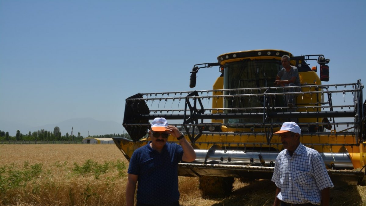 Doğu'nun Çukurova'sında buğday hasadı başladı