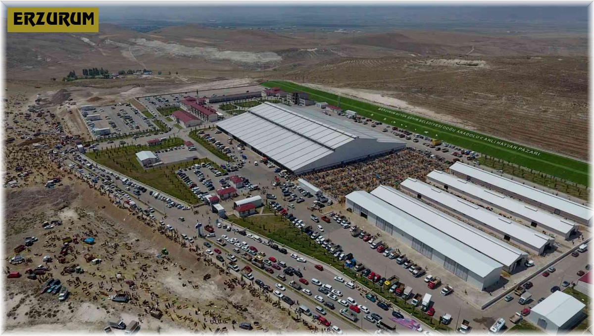 Doğu'nun incisi hayvan borsası sektörde rol modeli oldu