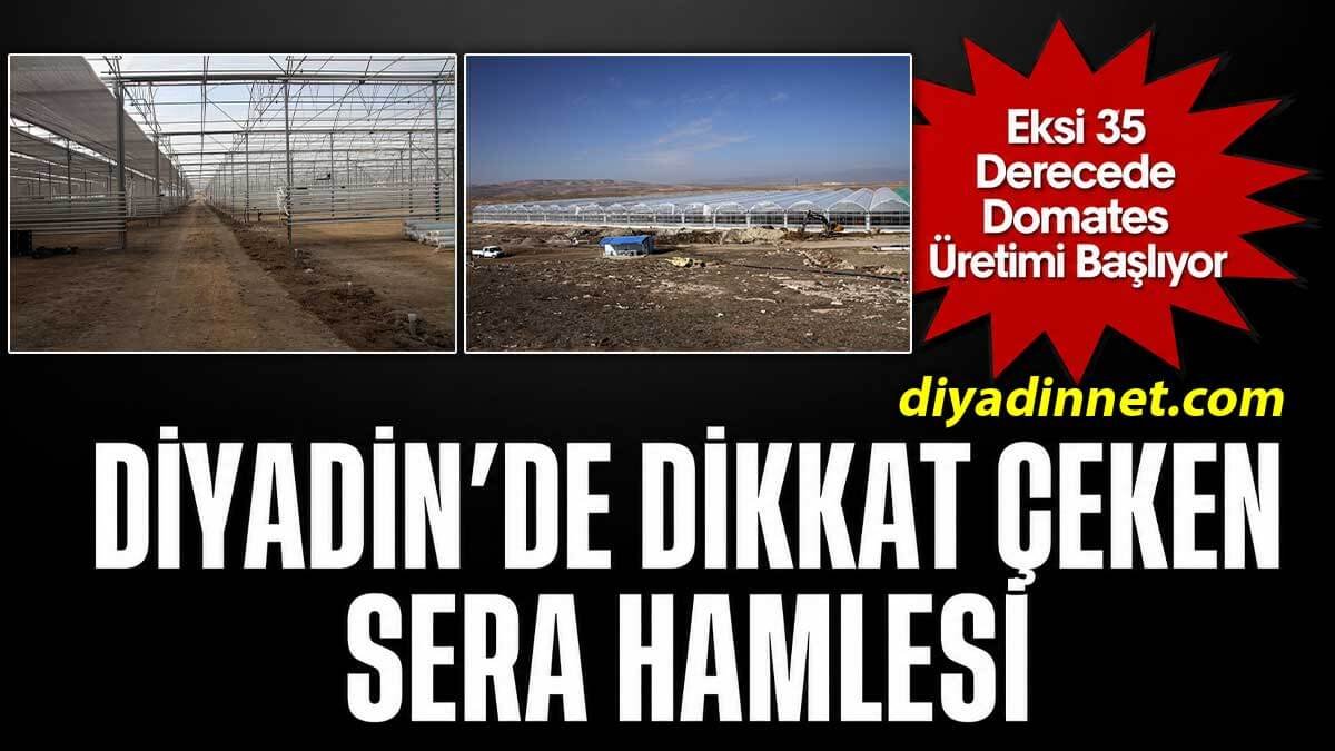 Doğu'nun Kışlık Domatesi Ağrı Diyadin'de Yetişecek