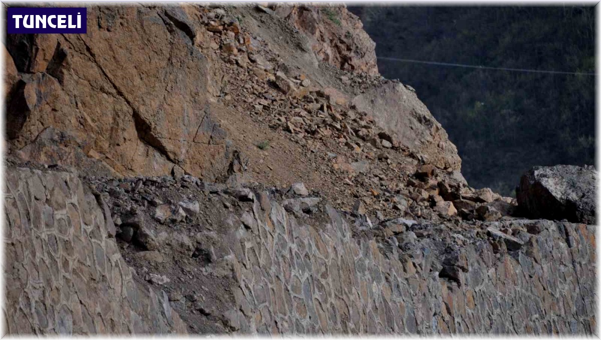 Doğu ve Güneydoğuyu Karadeniz'e bağlayan yolda kaya düşmesi ve heyelan tehlikesi