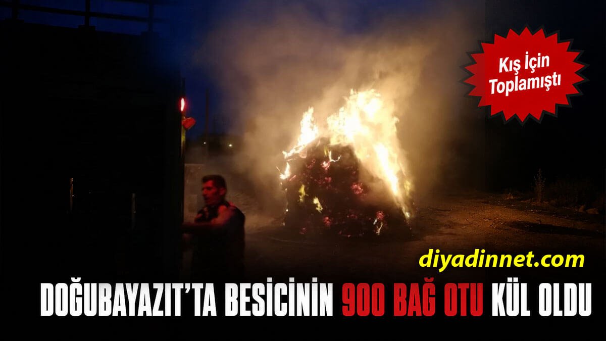 Doğubayazıt'ta Bahçede Yangın: 900 Bağ Ot Alevlere Teslim Oldu
