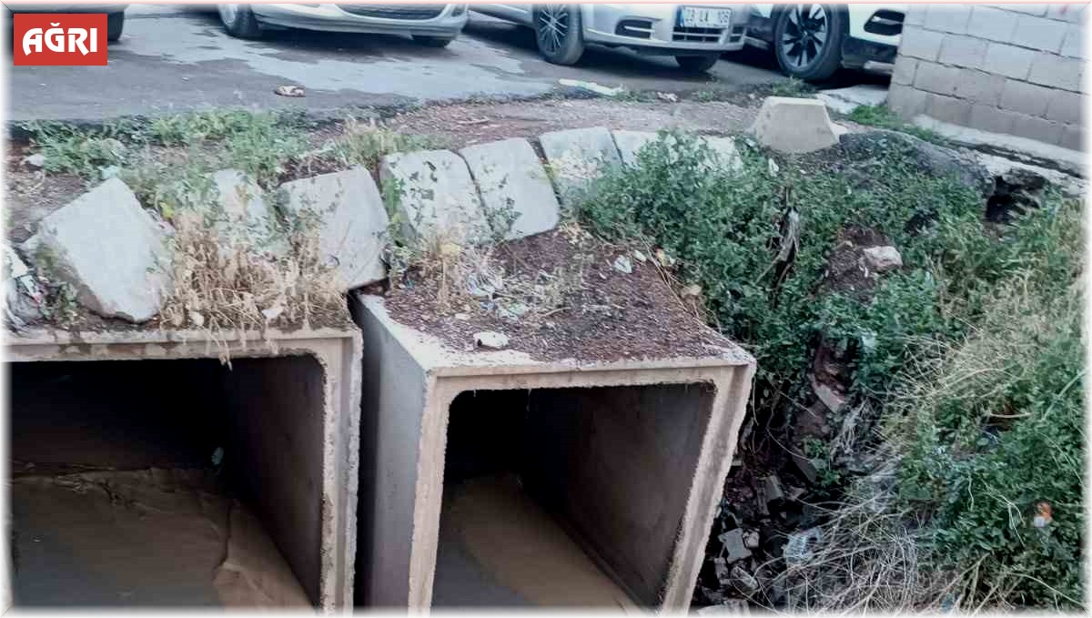 Doğubayazıt'ta sel meydana geldi