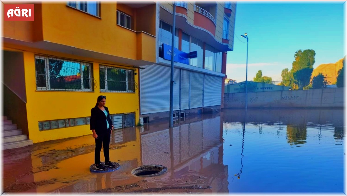 Doğubayazıt'ta selin yaraları sarılıyor