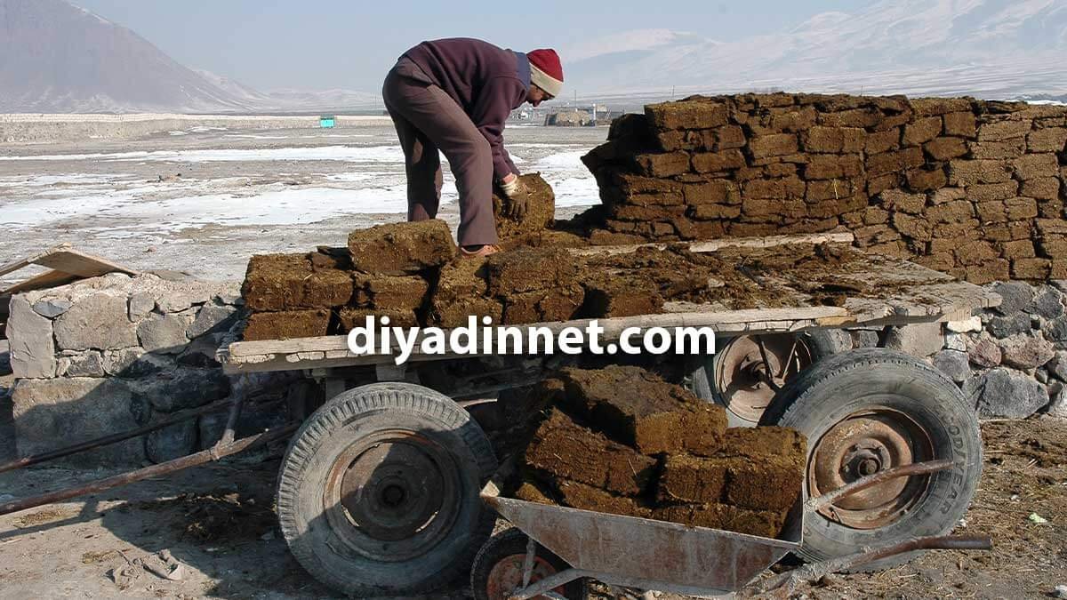 Doğubayazıt'ta tezekler duvar şeklinde kurutuluyor