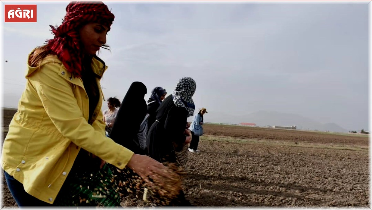 Doğubayazıtlı kadınlar toprağa hayat verdi