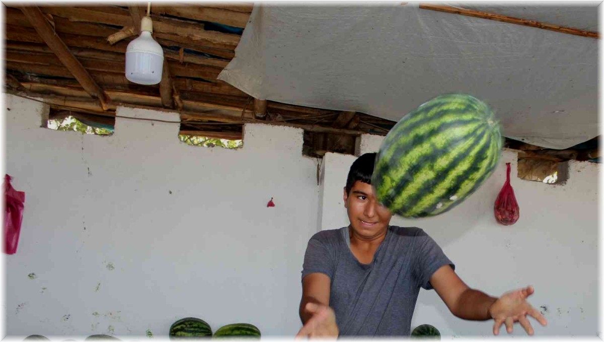 Doğunun Çukurova'sından çevre illere sebze ve meyve satışı