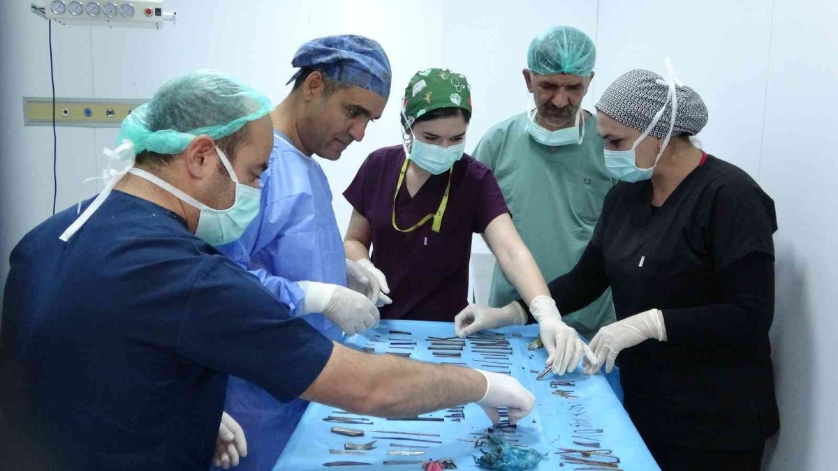 Doktorları şaşkına çeviren ameliyat: Midesinden 158 parça metal çıktı
