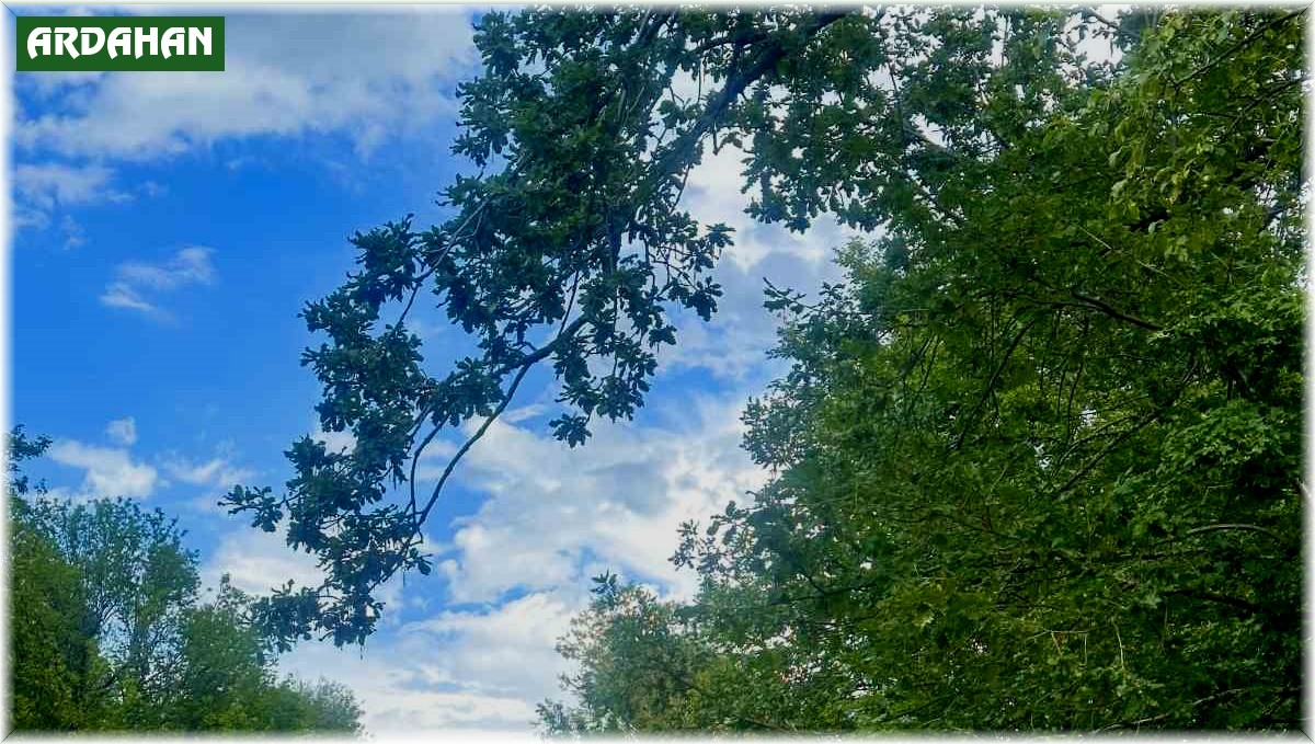 Dolu yağışı sonrası her yer beyaza büründü