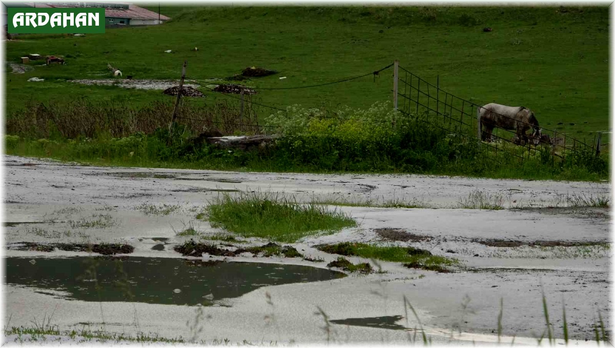 Dolu yağışı sonrası her yer beyaza büründü