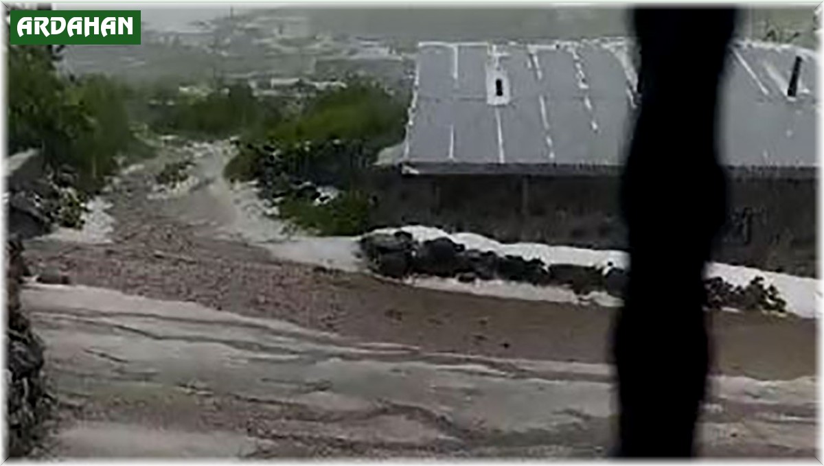 Dolu yağışı sonrası köy beyaza büründü