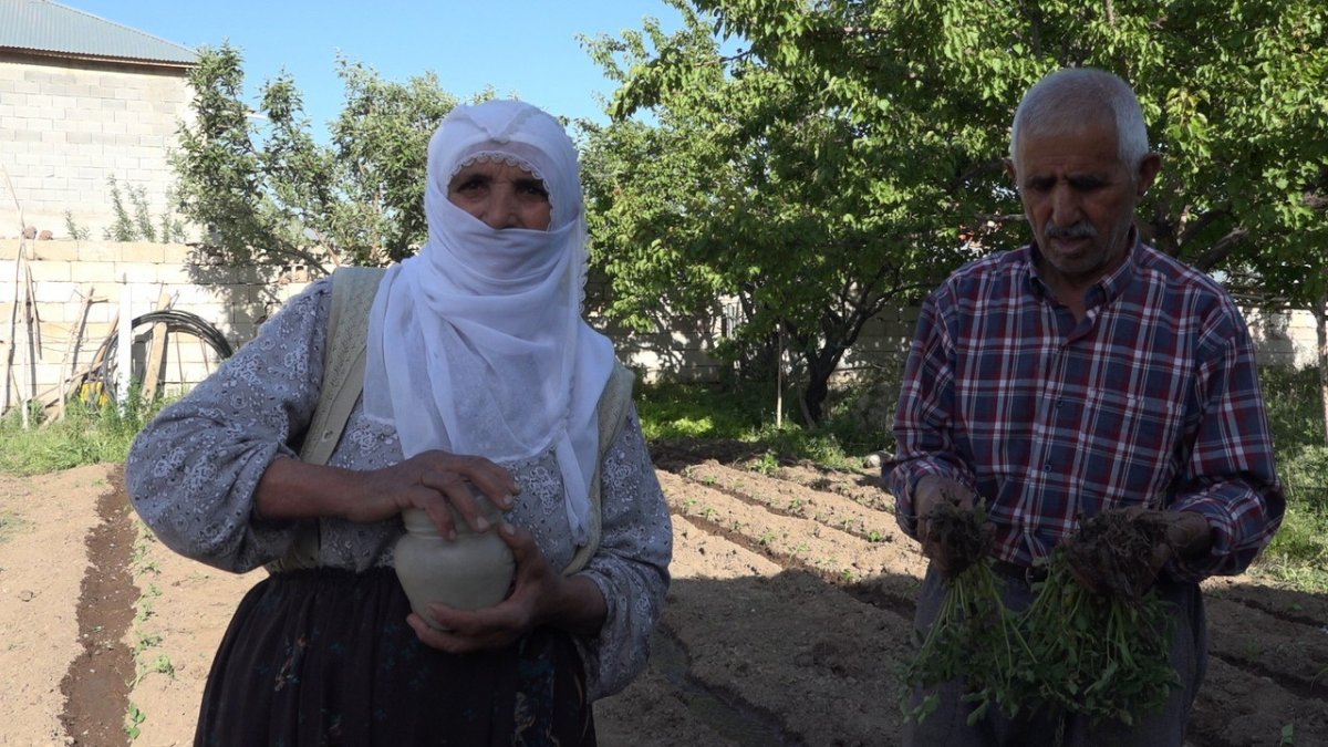 Domatese adanan bir ömür