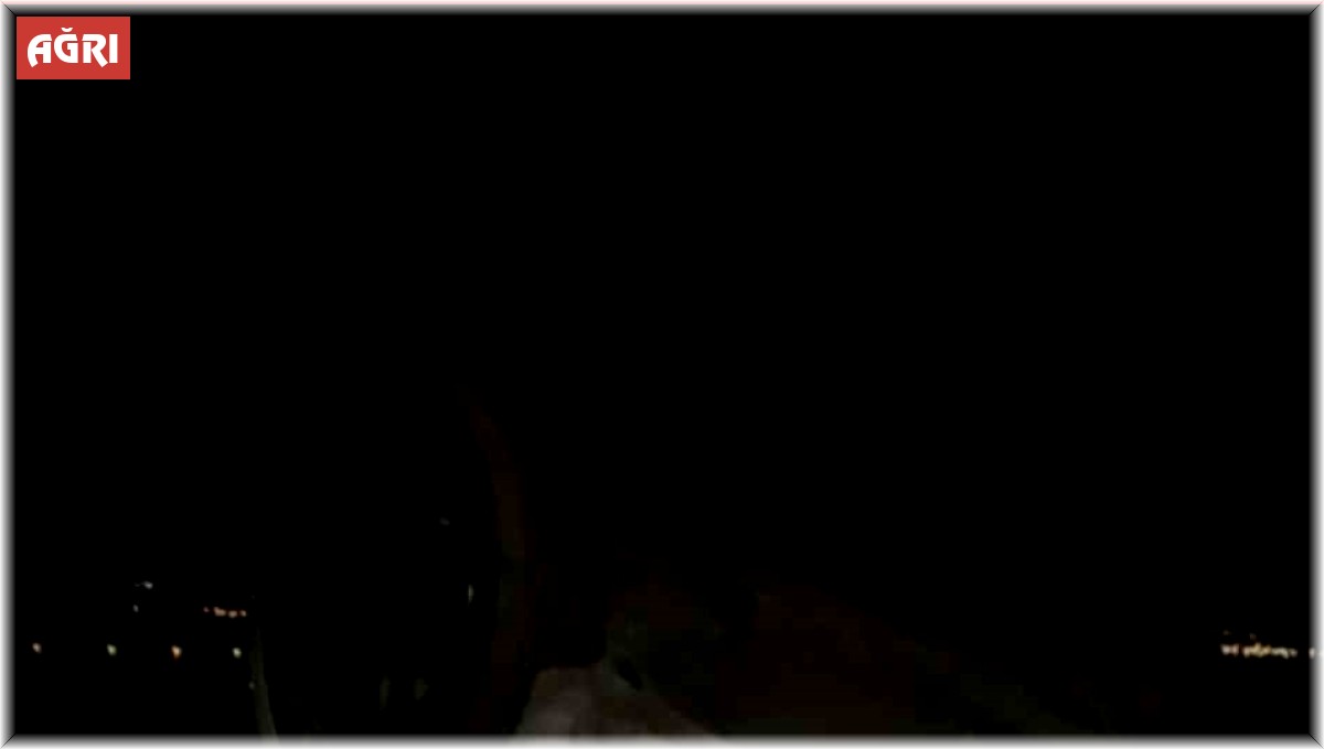 Domuza çarpan araç takla attı