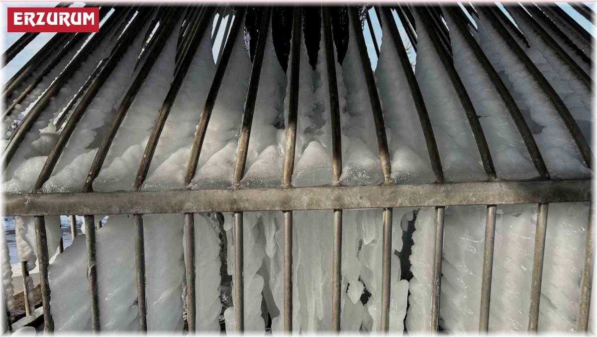 Donan şadırvan ortaya kartpostallık görüntüler çıkarttı