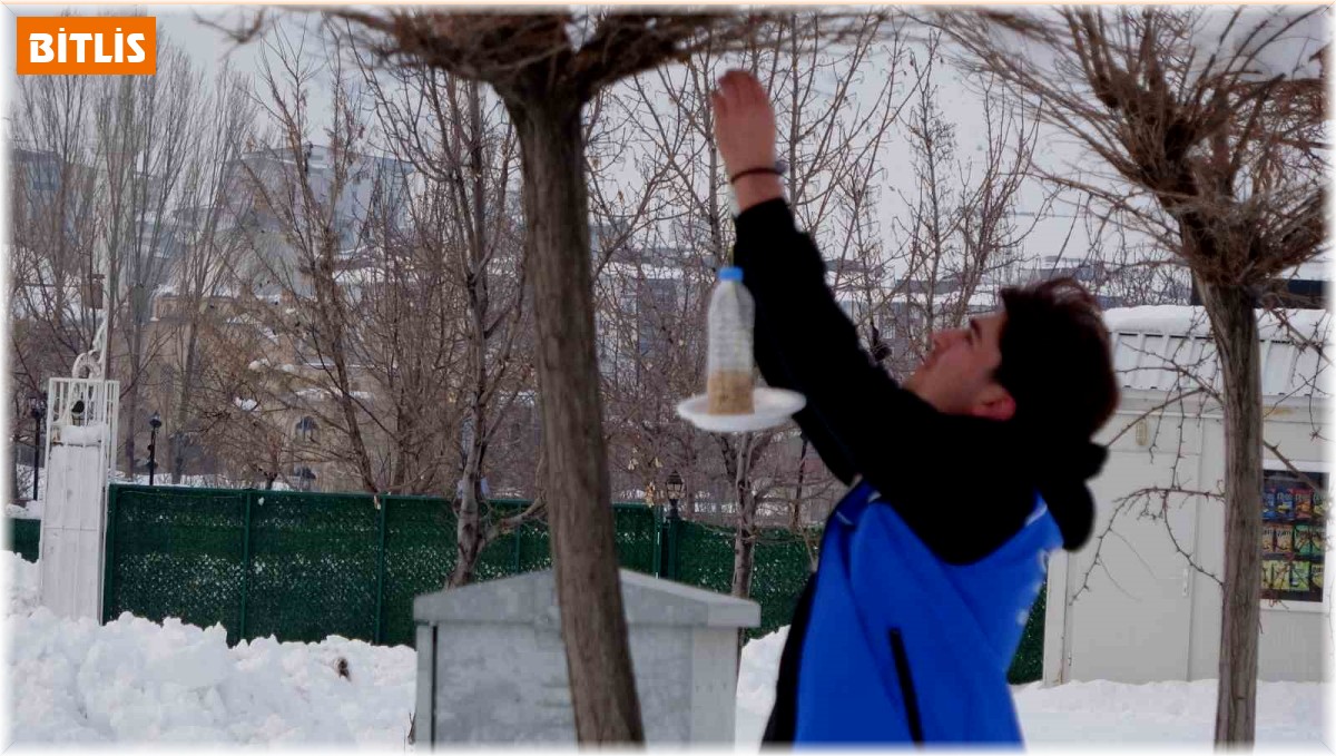 Dondurucu soğuklarda yaban hayvanları unutulmadı