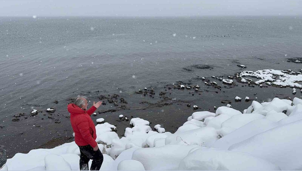 Dondurucu soğukta Van Gölü'nde yüzdü