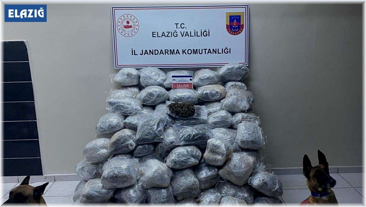 Dorse tabanında uyuşturucu taşıyan şüpheli tutuklandı