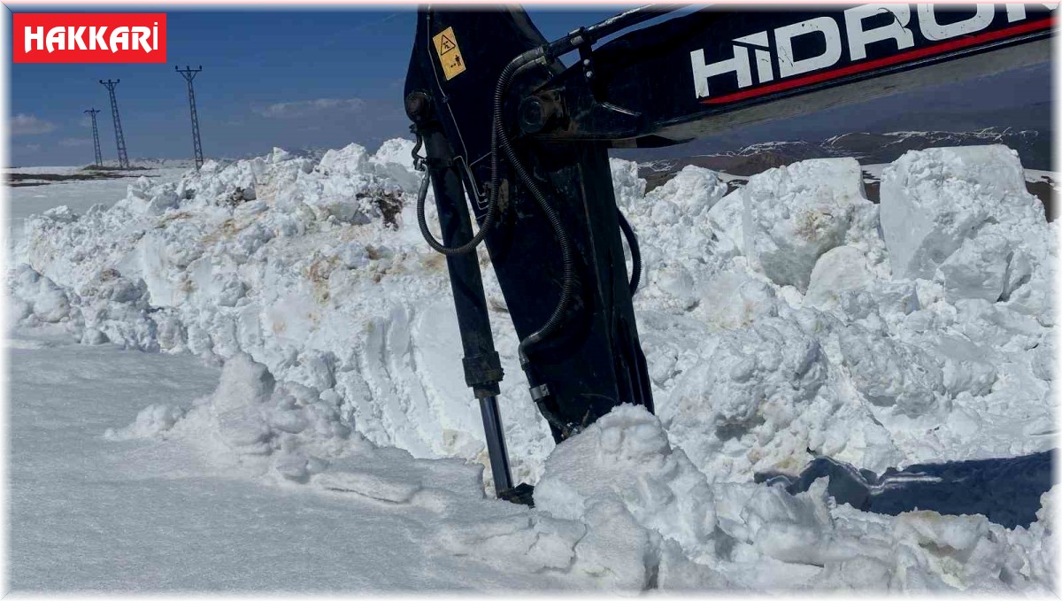 Doski Vadisi'nde 5 metreyi bulan karda yol açma çalışması