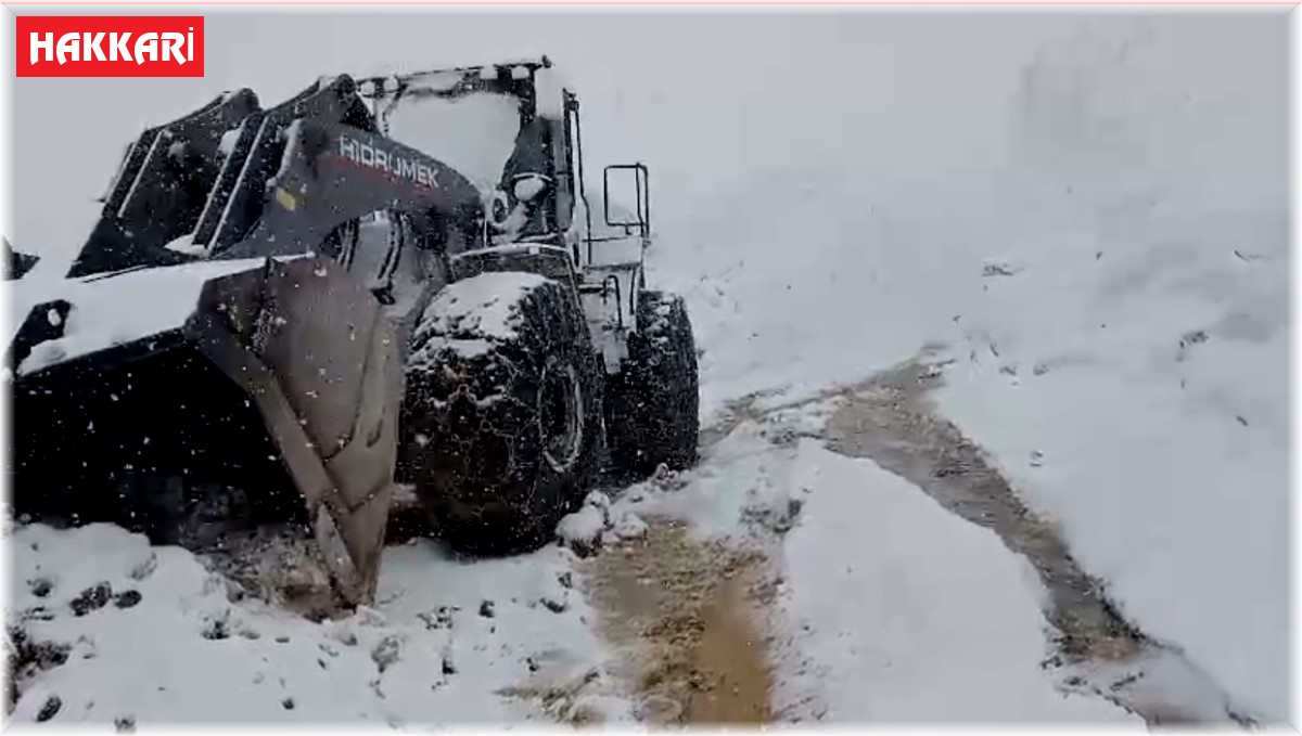 Doski Vadisi'nde mayıs ayında 5 metreyi bulan kar görüntüleri hayrete düşürüyor