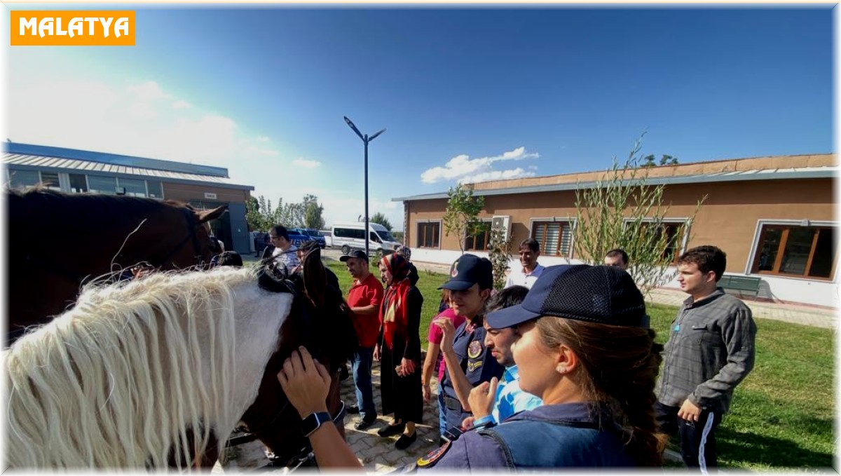 Down Sendromlu çocukların at sevgisi