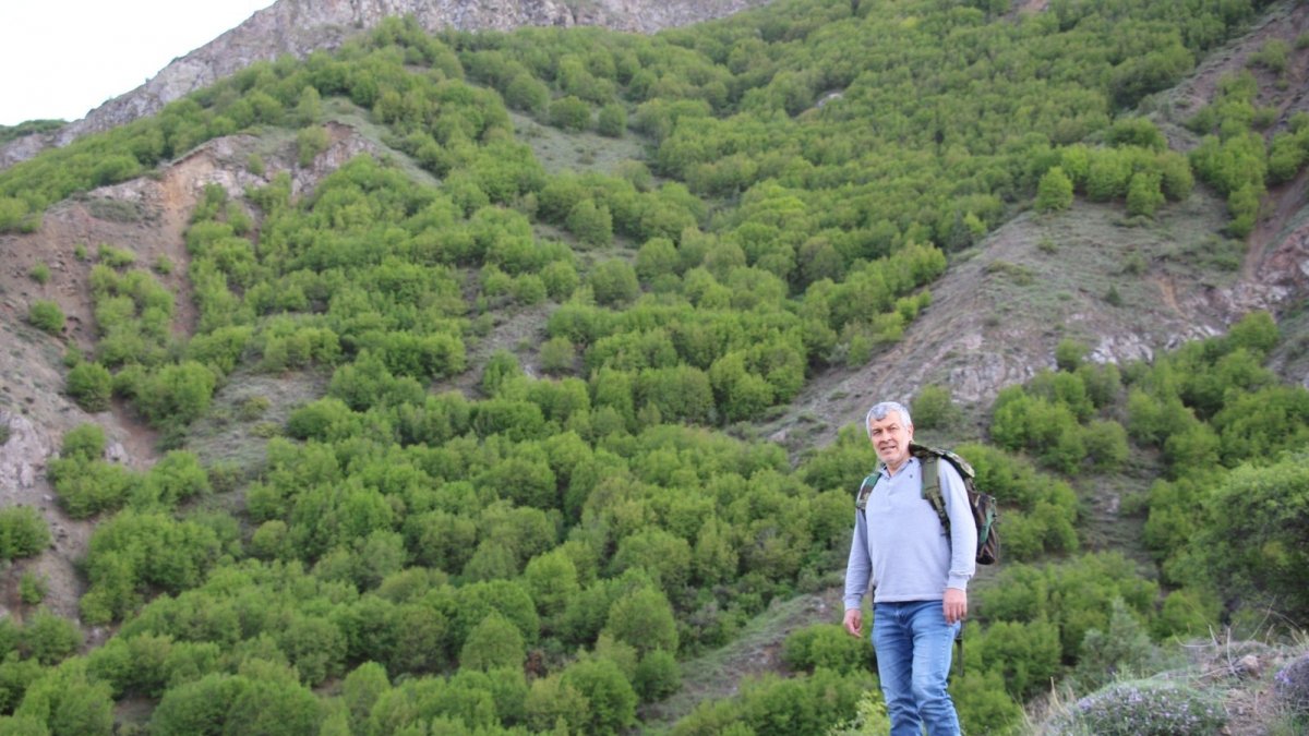 Dr. Ekinci Fizyo terapi için şifalı bitkiler topluyor