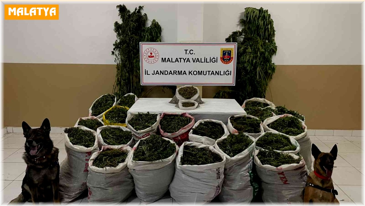 Dron destekli operasyonda 232 kilo esrar ele geçirildi