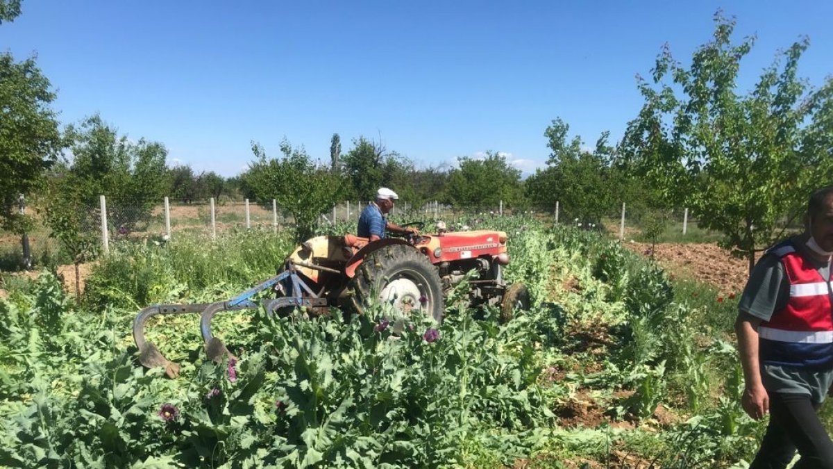 Drone ile tespit edildi, sökülerek imha edildi
