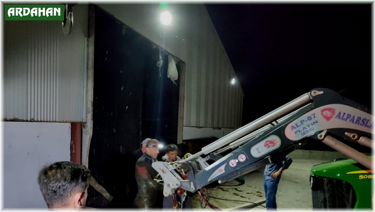 Düştüğü çukurda kalbi duran köpeği AFAD ekipleri hayata döndürdü