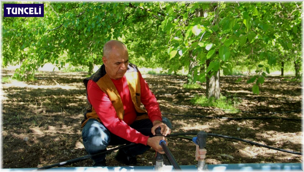 Dut üreticileri yeni sezon için bahçeye indi