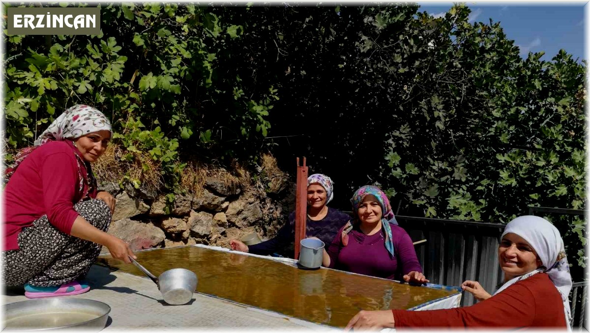 Dutun önemli geçim kaynağı olduğu Kemaliye'de kadınların zorlu pestil ve pekmez yapımı imece usulü ile eğlenceli hale geliyor