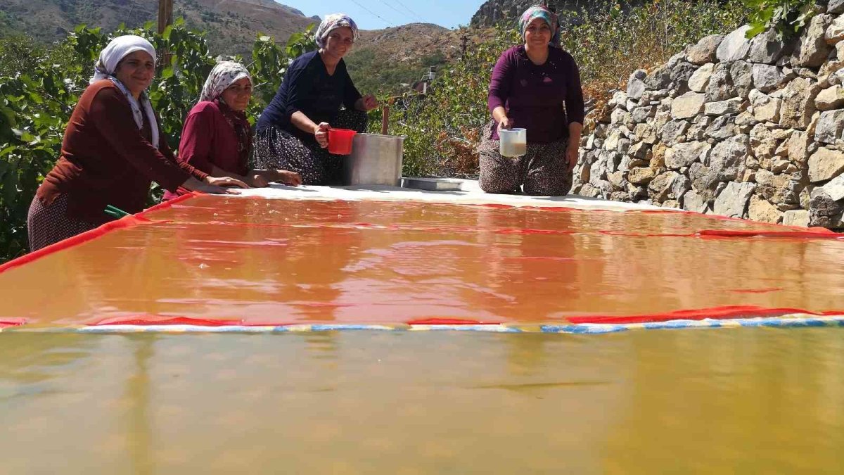 Dutun önemli geçim kaynağı olduğu Kemaliye'de kadınların zorlu pestil ve pekmez yapımı imece usulü ile eğlenceli hale geliyor
