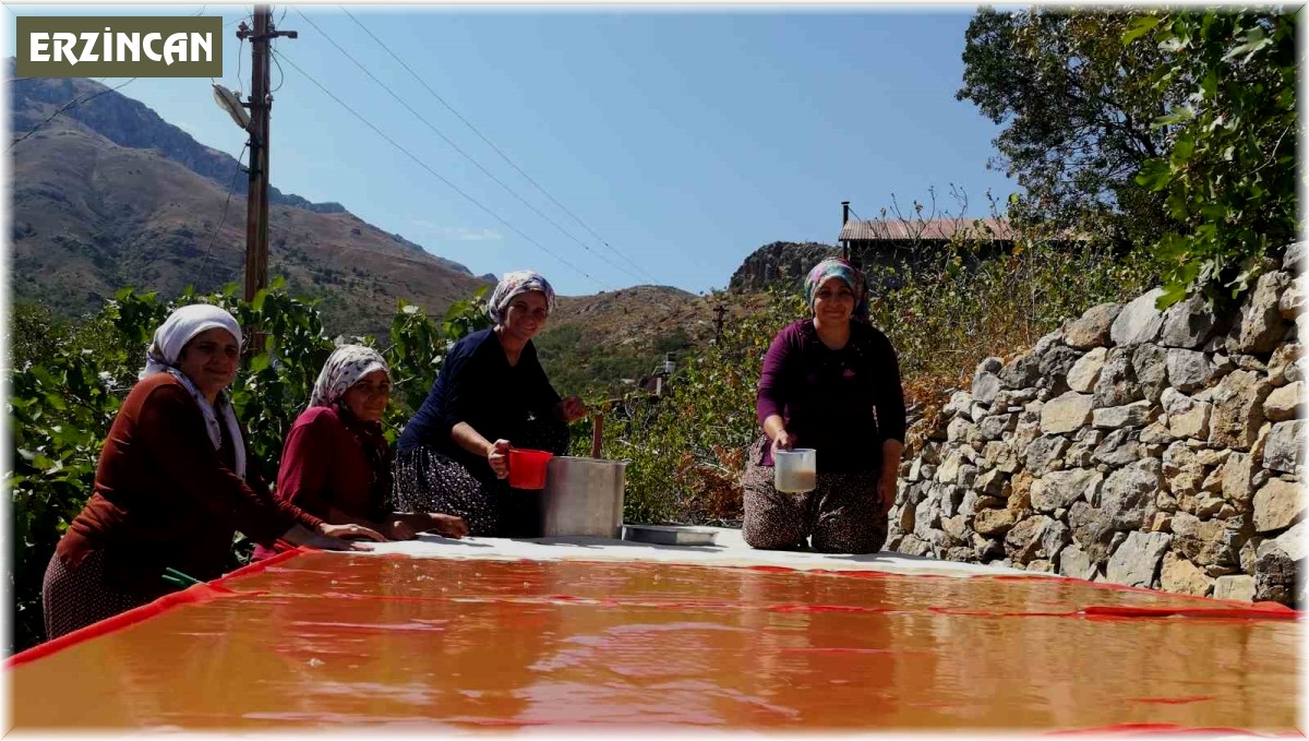 Dutun önemli geçim kaynağı olduğu Kemaliye'de kadınların zorlu pestil ve pekmez yapımı imece usulü ile eğlenceli hale geliyor