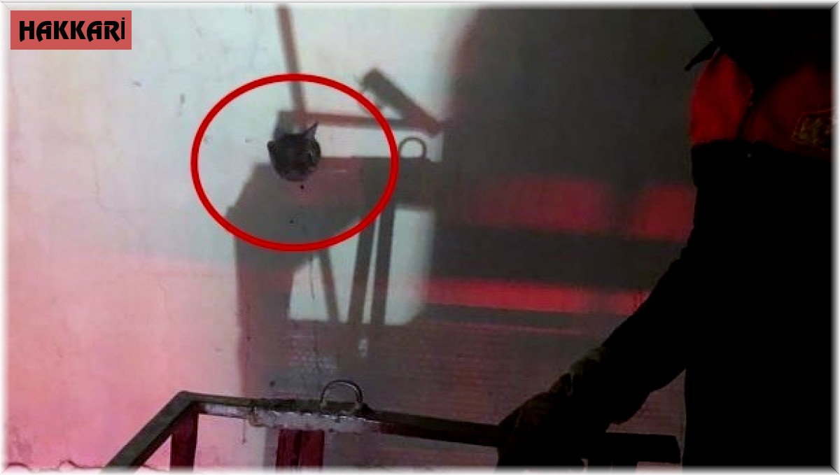 Duvar içinde başı deliğe sıkışan kedi itfaiye ekipleri tarafından kurtarıldı