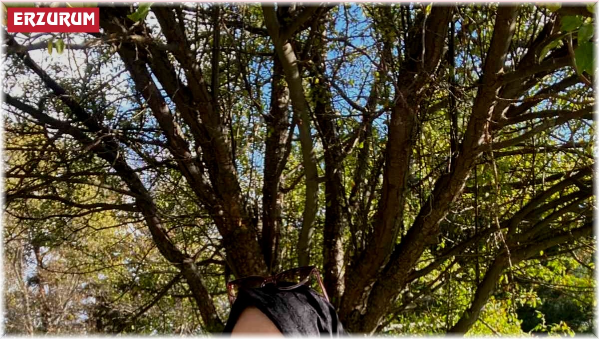 Düzenli egzersiz ömrü uzatıyor