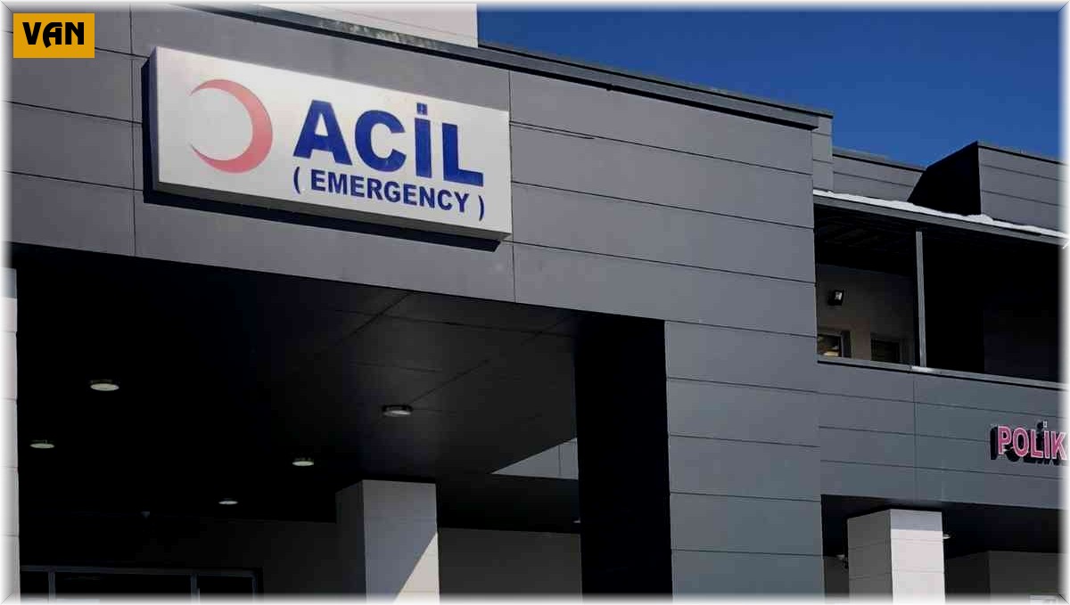 Düzensiz göçmeni darp edip parasını alan şahıs tutuklandı