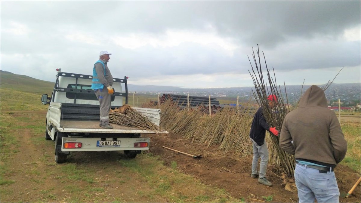 Edremit'te üreticilere ceviz fidanı dağıtımı