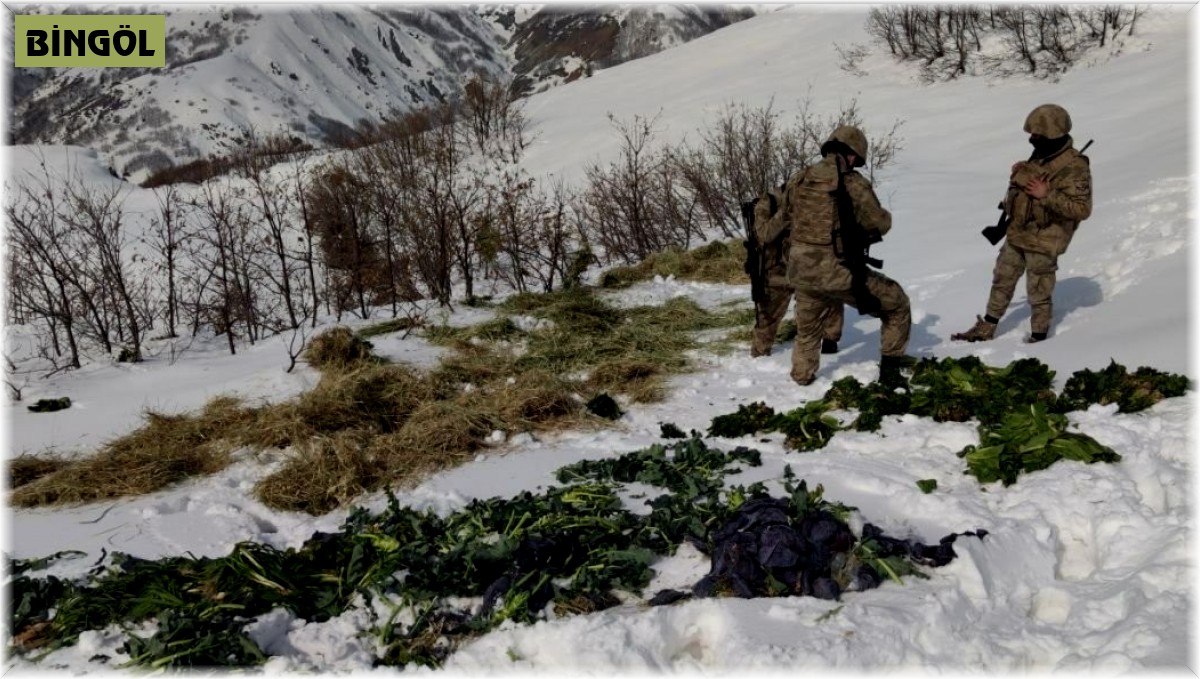 Ekipler, jandarma ile birlikte doğaya yem bıraktı