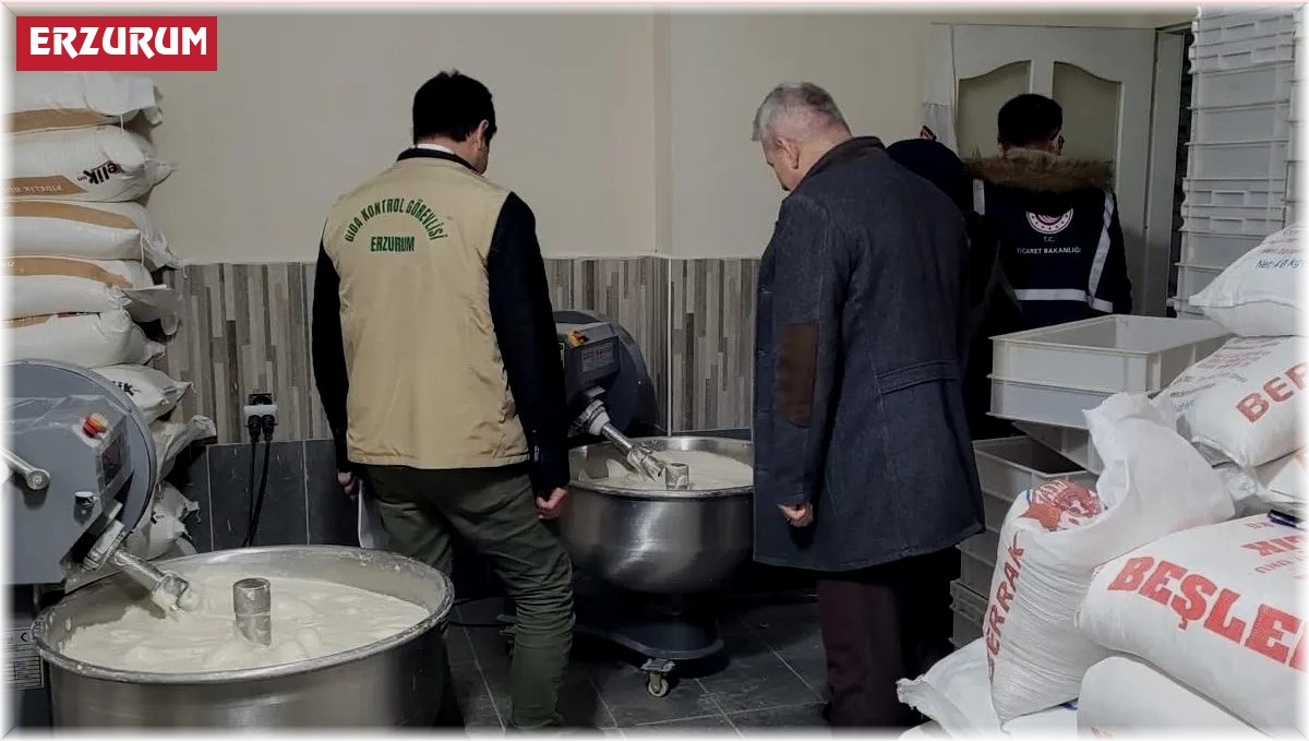 Ekmek fırınları denetlendi