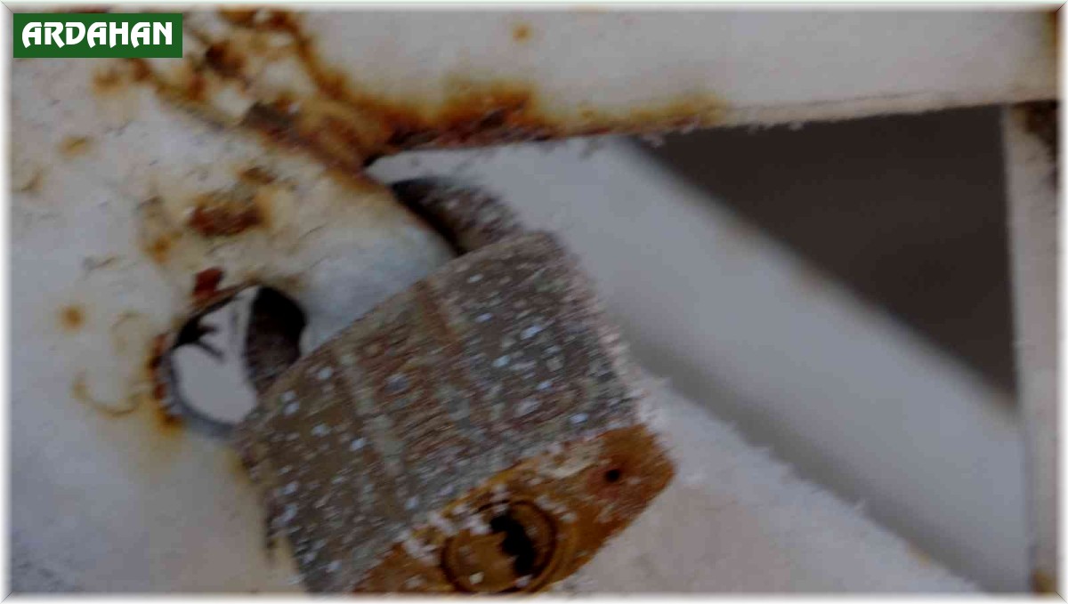 Eksi 19,3'ü gören Göle'de Kura Nehri dondu