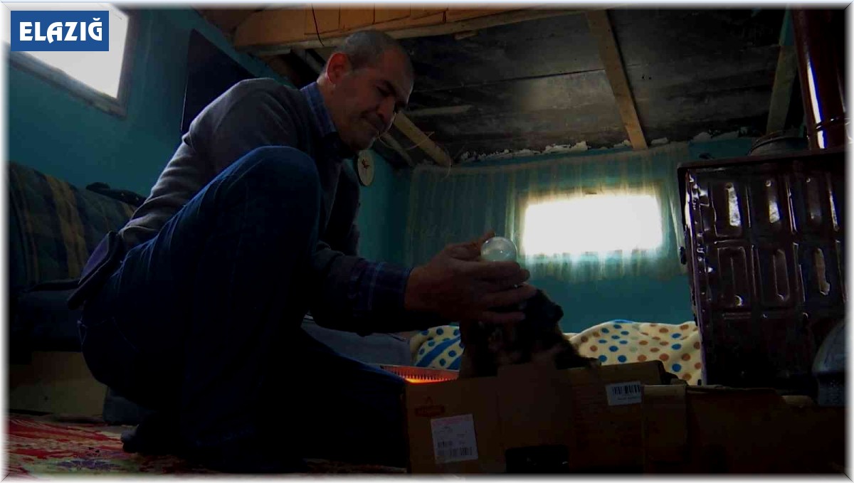 Eksi 3 derecede bulduğu 7 yavru köpeği evine getirip, sobanın önünde biberonla beslemeye başladı