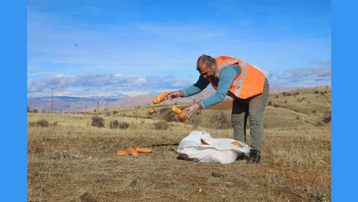 Elaızığ'da doğaya yem bırakıldı