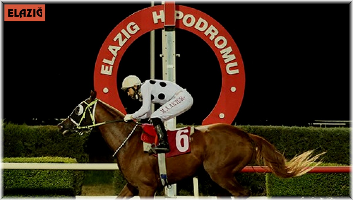 Elazığ'a 50 yarış günü