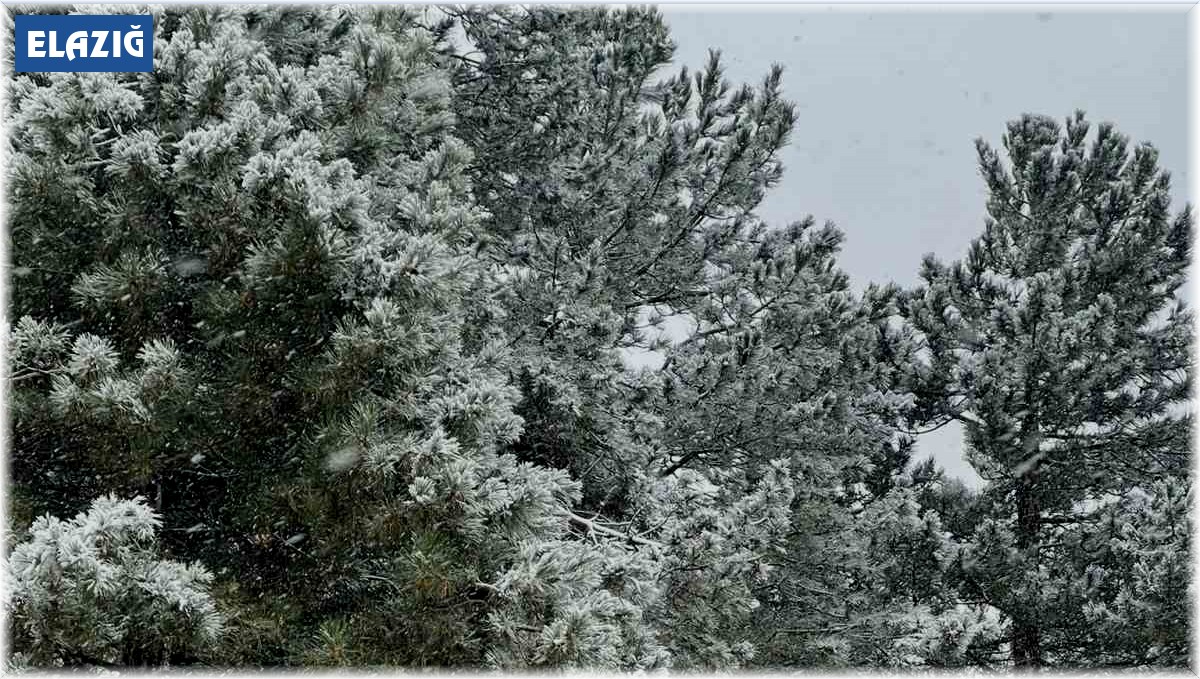 Elazığ'a mevsimin ilk karı düştü