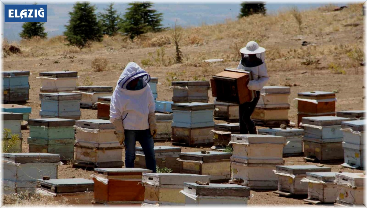 Elazığ Arı Yetiştiricileri Birliği Başkanı Canbay: "Yağışların ileride arıcılar üzerinde olumlu yansıması olacaktır"