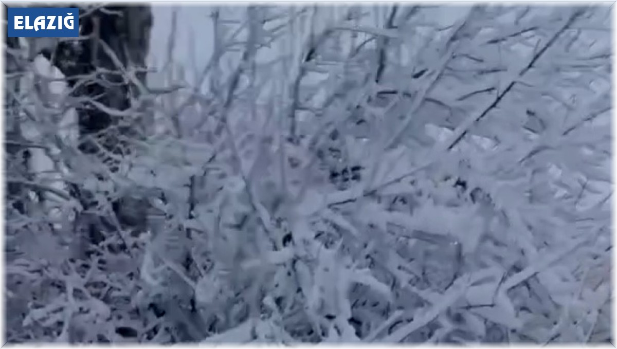 Elazığ Baskil'de kar yağışı etkili oldu
