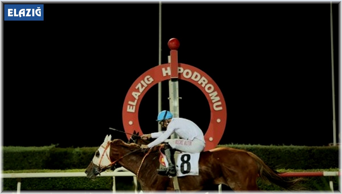 Elazığ Belediye Başkanlığı Koşusu Silver Cloud'un