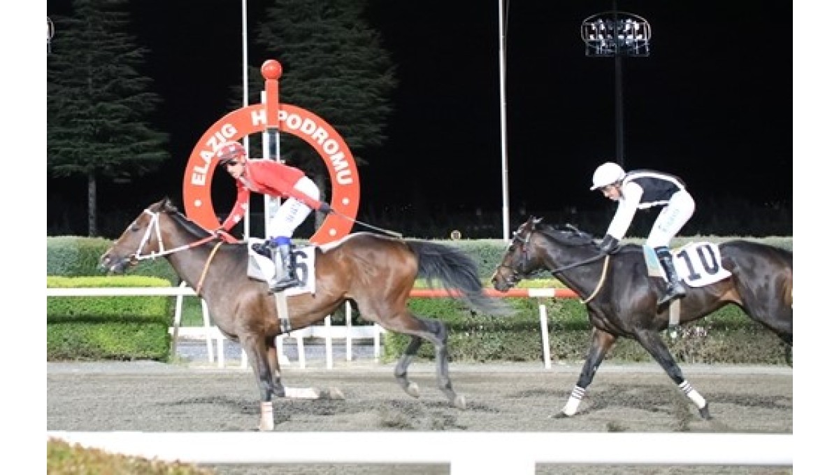 Elazığ Belediye Başkanlığı koşusunda zafer Drop'un