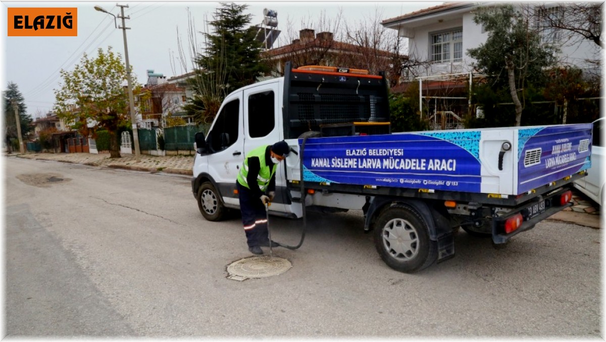 Elazığ Belediyesi larvalara karşı kış mücadelesine devam ediyor