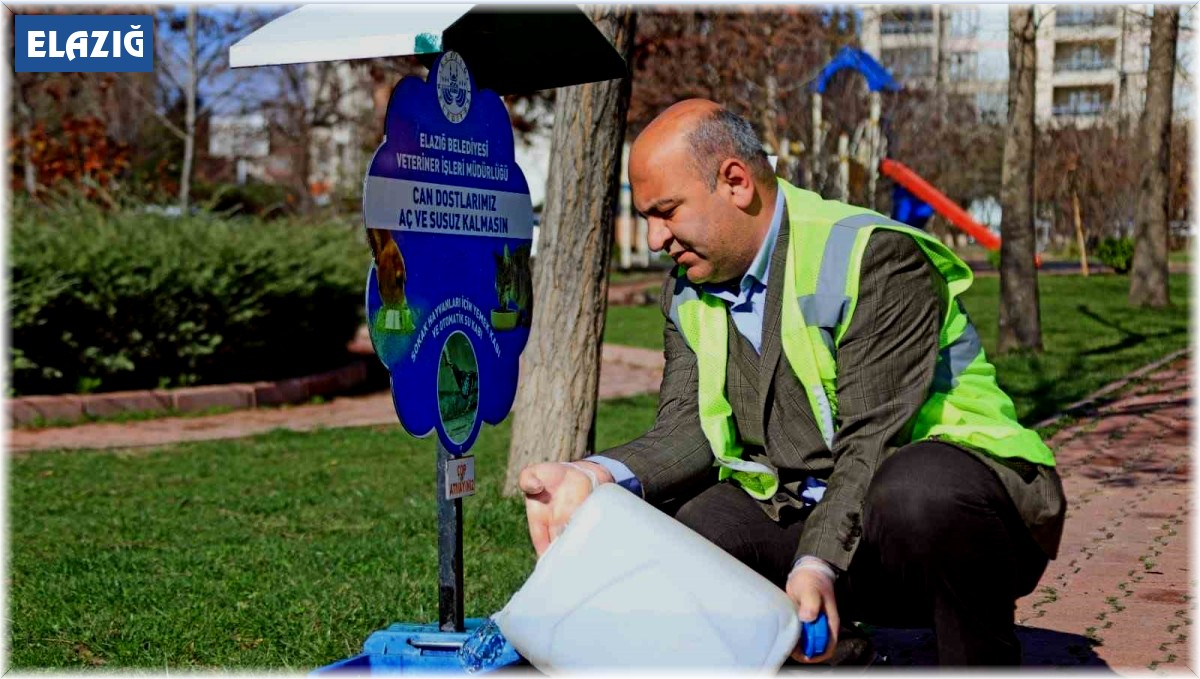 Elazığ Belediyesi, Ramazan ayı öncesi sokak hayvanlarını unutmadı